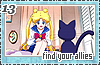 findyourallies13