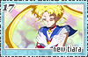 newtiara17
