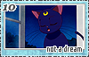 notadream10