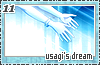 usagisdream11